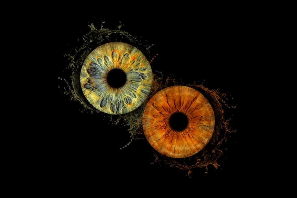 Individuelle Iris-Collage: Wasser · Zwei