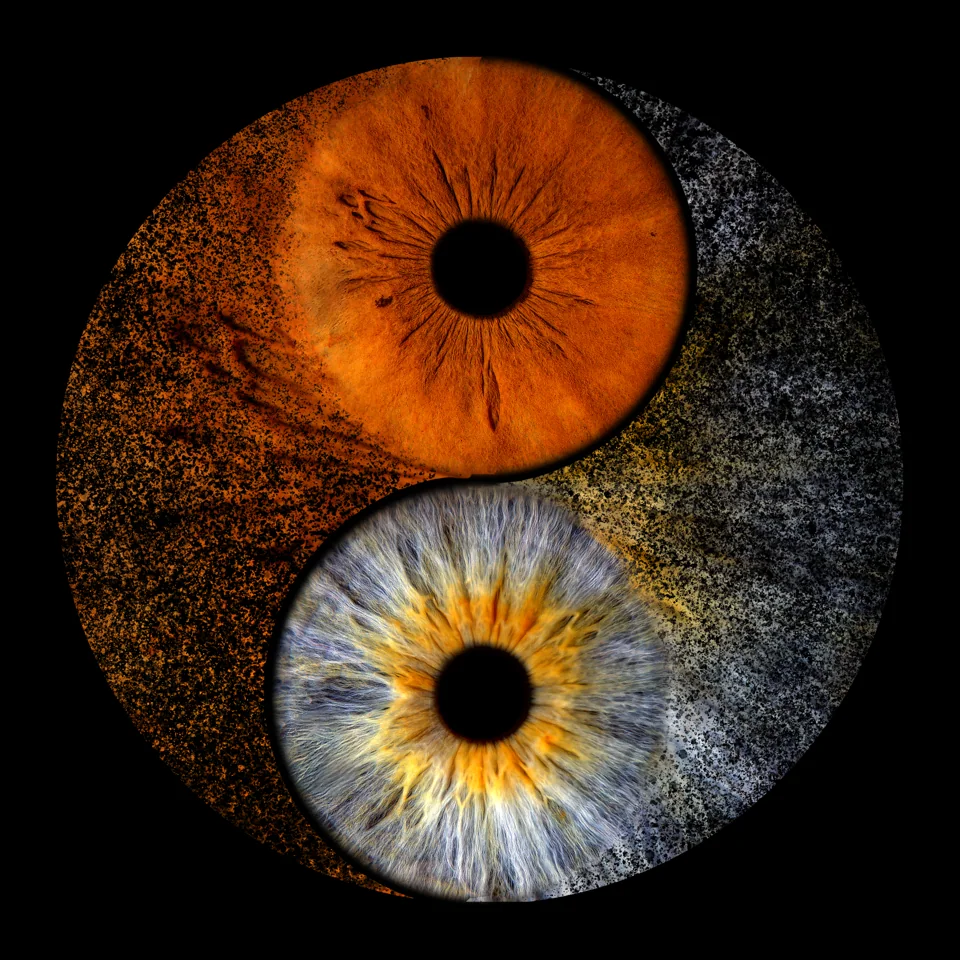 Individuelle Iris-Collage: Yin & Yang