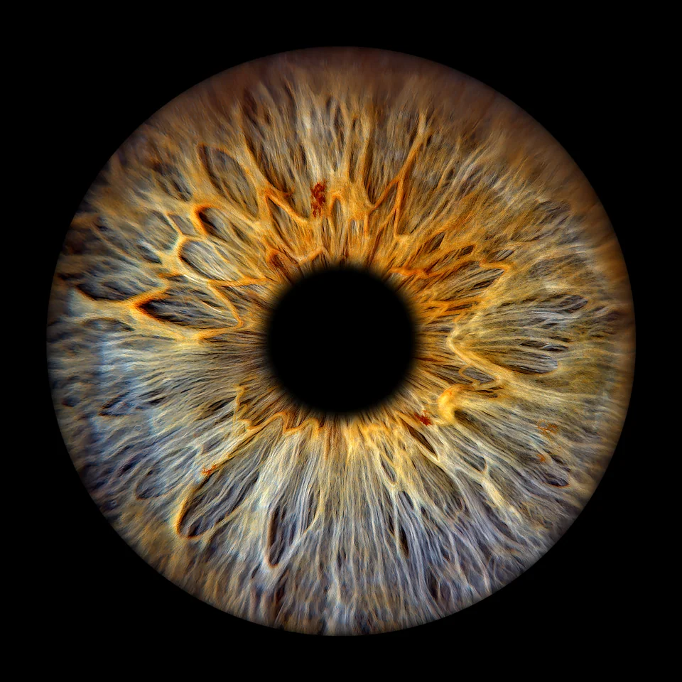 Irisfotografie: Goldene Strukturen